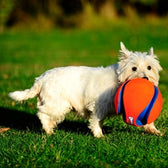 Chuckit Kick Fetch Small 12,5 Cm