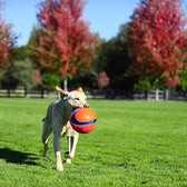 Chuckit Kick Fetch Small 12,5 Cm