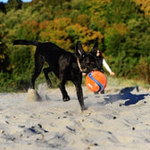Chuckit Kick Fetch Small 12,5 Cm