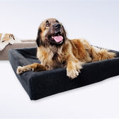 Bia Bed Fleece Hoes Hondenmand Grijs Bia-7 120X100X15 Cm