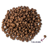 Renske Super Premium Puppy Kip / Lam 2 Kg