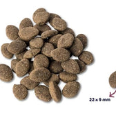 Renske Super Premium Adult Lam Graanvrij Hypoallergeen 2 Kg