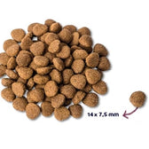 Renske Super Premium Adult Kalkoen / Eend 2 Kg