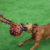 Happy Pet Nuts For Knots Extreme Bal Tugger 60X24X24 Cm