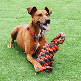 Happy Pet Nuts For Knots Extreme Spoel 8 Vorm Tugger Grijs / Oranje 55X11X11 Cm