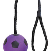 Trixie Sportbal Aan Touw Schuimrubber Drijvend Assorti 6X6X30 Cm