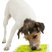 Trixie Lick'n'snack Plaat Tpr / Plastic 20X20 Cm