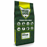 Yourdog Petit Bleu De Gascogne Pup 12 Kg