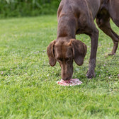 Trixie Lick'n'snack Mat Met Zuignappen Siliconen Salie 17 Cm