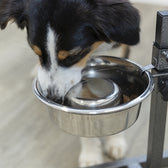 Trixie Voerbak Hond Slow Feeding Rvs 21 Cm