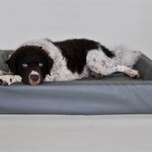Bia Bed Kunstleer Hoes Hondenmand Grijs Bia-7 120X100X15 Cm