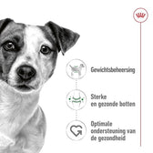 Royal Canin Mini Adult 2 Kg