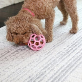 Jw Hol-Ee Roller Trend-Ee Roze 11,5X11,5X11,5 Cm