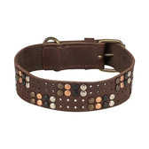 Trixie Halsband Hond Rivet Rustic Vetleer Donkerbruin Xl 55-65 Cmx4 Cm