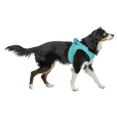 Trixie Hondentuig Urbanvest Mesh Aqua 41-44X1,5 Cm - Xs-S