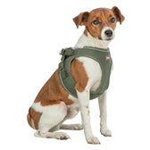 Trixie Hondentuig Urbanvest Mesh Olijfgroen 38-41X1,5 Cm - Xs