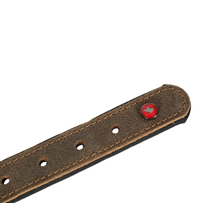 Zolux Expert Halsband Hond Premium Leer / Neopreen Bruin 55X2,5 Cm