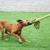 Happy Pet King Size Tug Flostouw Xl 123X18 Cm