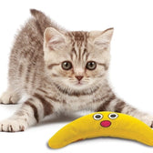 Petstages Green Magic Boomerang Buddy 23,5X10X4 Cm